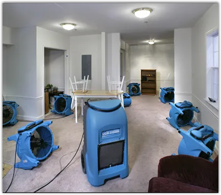 Water Damage Restoration services in Elsa, TX