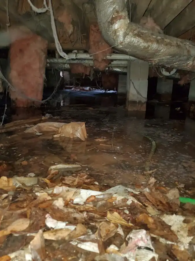 Crawl space flood assessment for Commercial Water Damage Restoration in Elsa