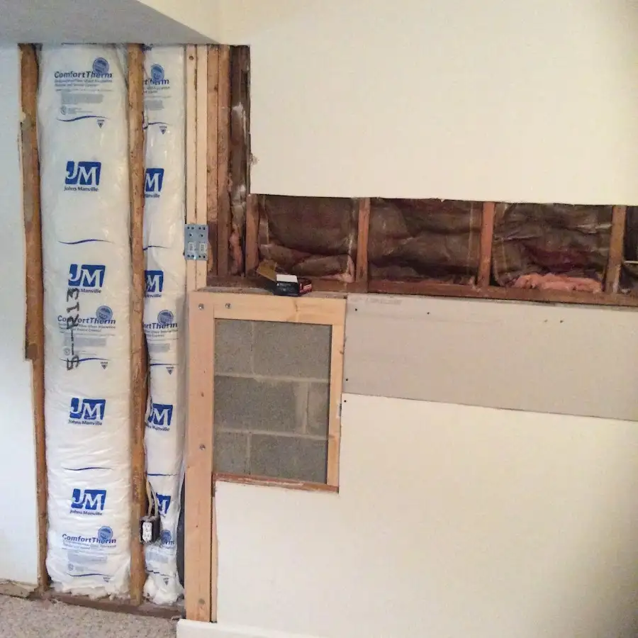 Wall insulation replacement during Odor Removal & Deodorization in Elsa